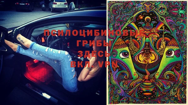 СК Армянск